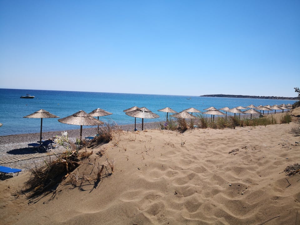 Strand Atlantica Plimmiri
