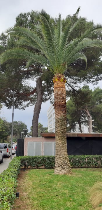 Außenansicht Hotel Pabisa Chico