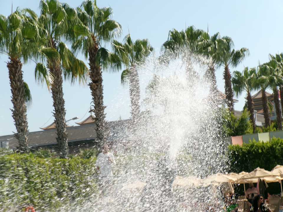 Pool Hane Family Resort