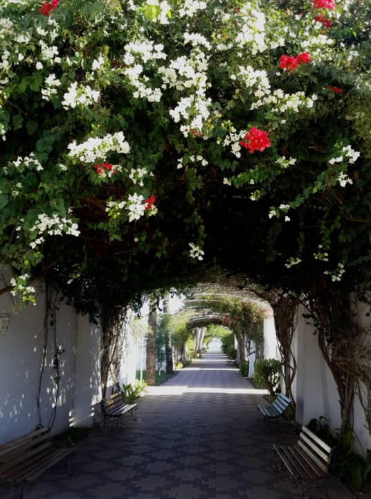 Дорога к морю El Mouradi Club Kantaoui