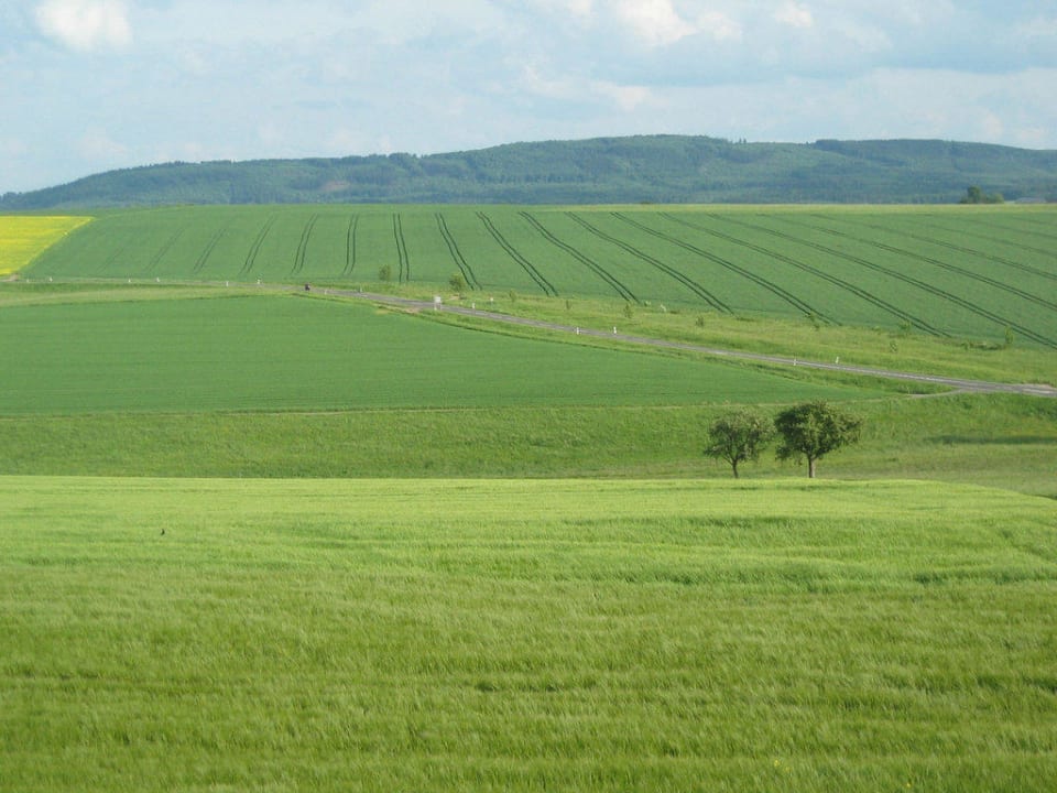 Ausblick Ferienwohnung Jakoby