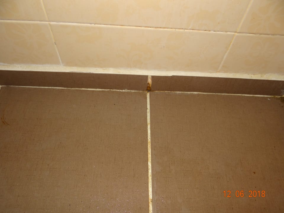 Zimmer Royal Atlantis Spa & Resort