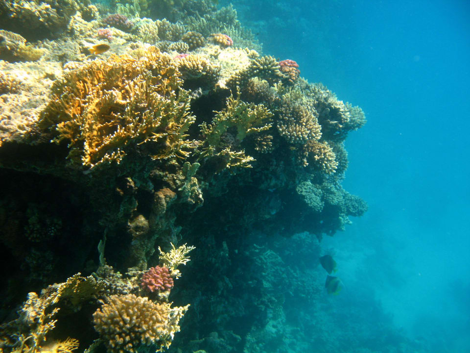 83 Stella Beach Resort & Spa Makadi Bay