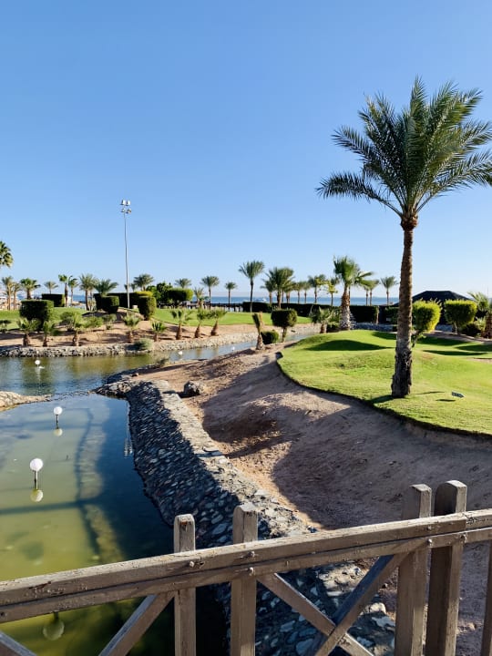 Gartenanlage Steigenberger Aqua Magic