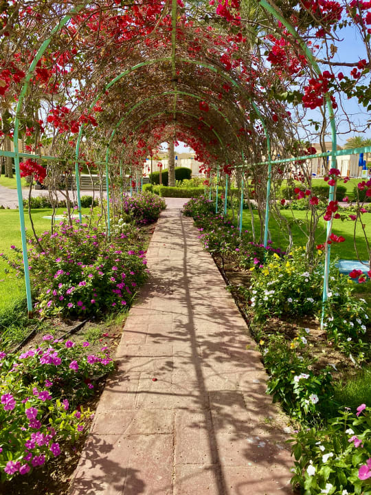 Gartenanlage Cleopatra Luxury Resort Makadi Bay