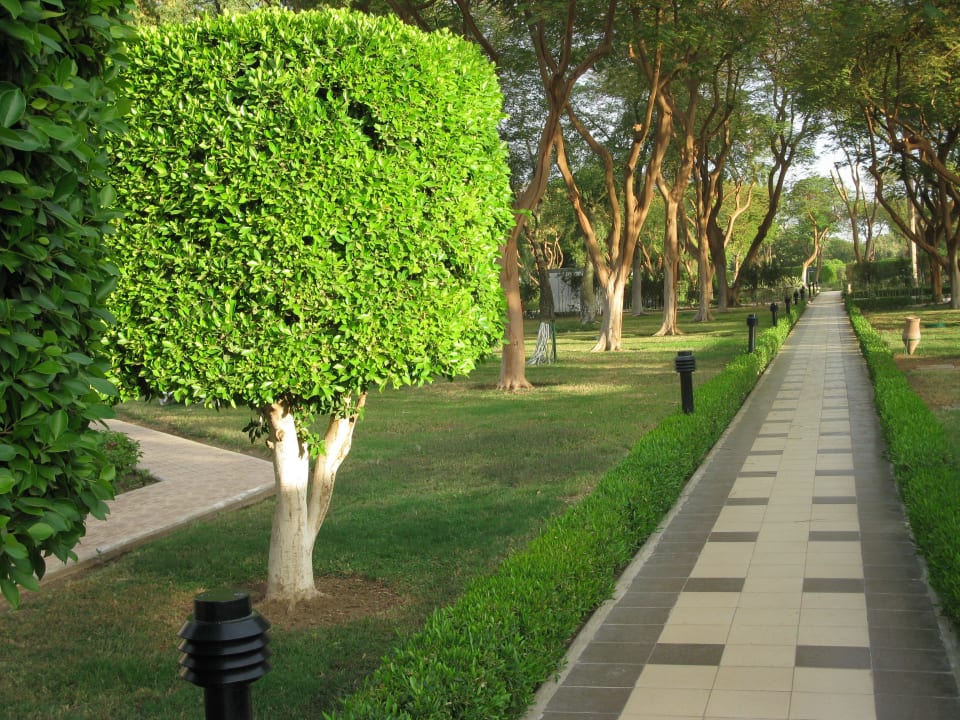 Weg bei eingeschossigen Gebäuden Jolie Ville Kings Island Luxor