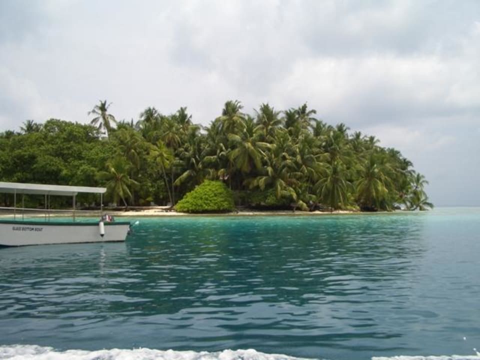 Insel Fihalhohi Maldives