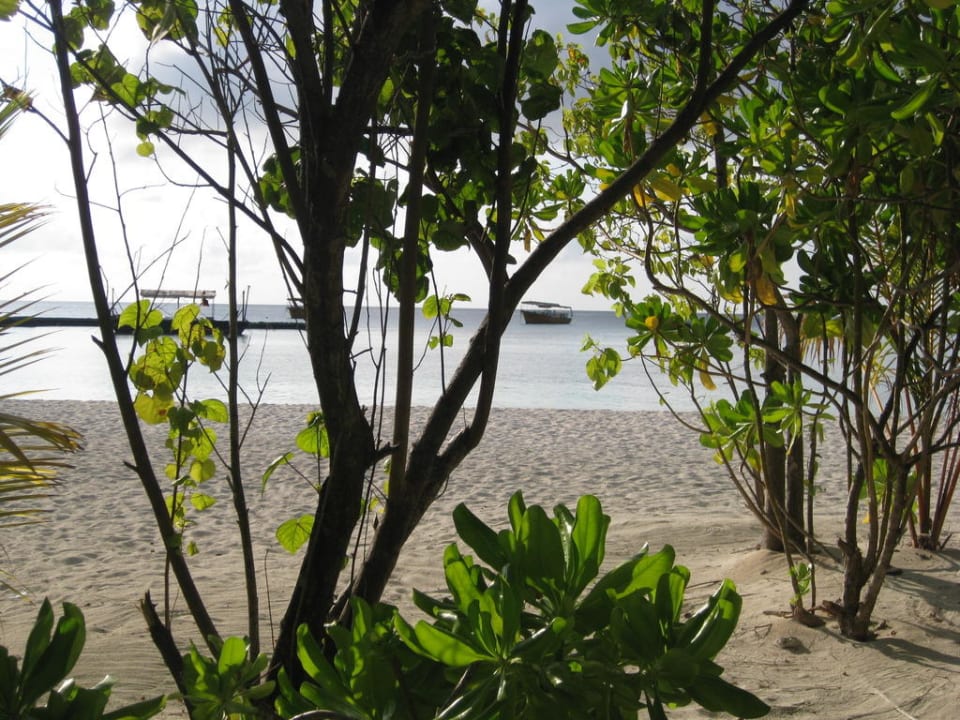 Ausblick von unserem Bungi Summer Island Maldives