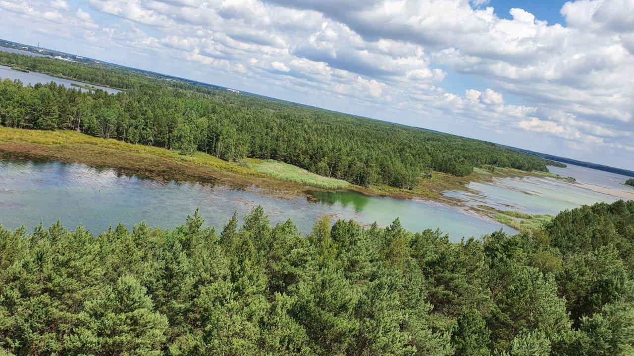 Ausblick Familienpark Senftenberger See