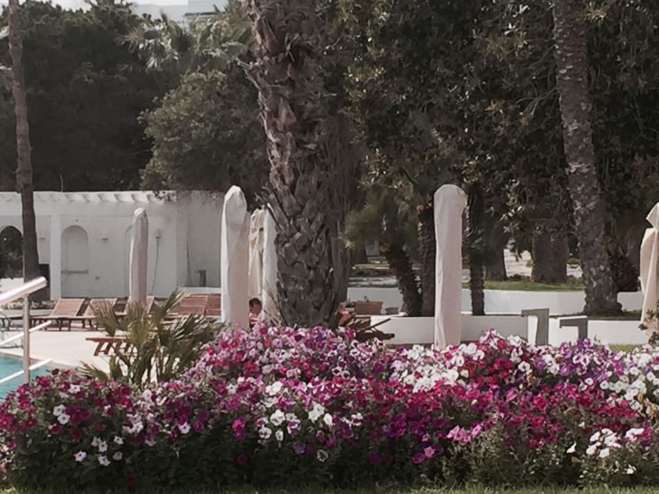 Einfach nur schön Hotel Bel Azur Thalasso & Bungalows