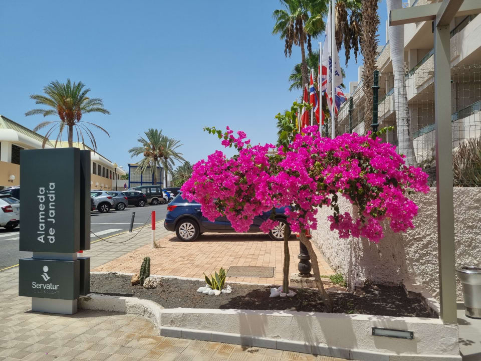 Sonstiges Servatur Alameda de Jandía