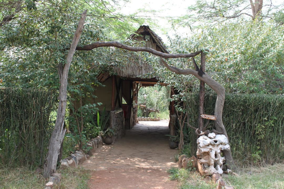 Eingang zum Camp Aruba-Mara Camp