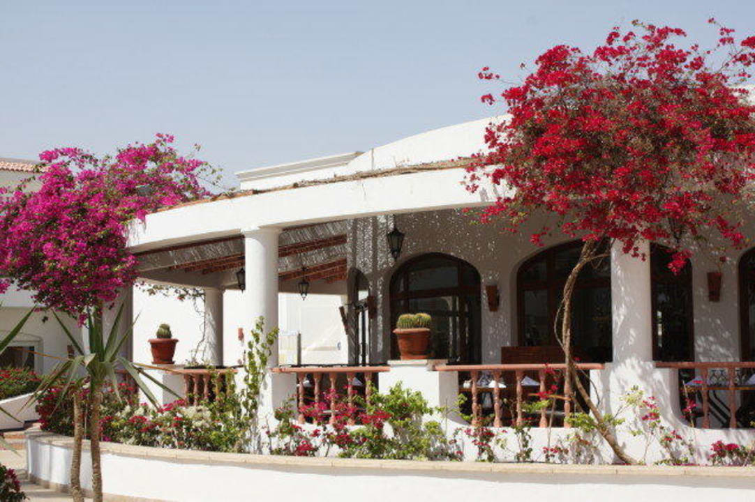 Vom Restaurant Couple Iberotel Palace