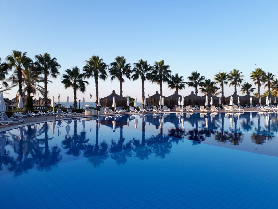 Pool Paloma Oceana