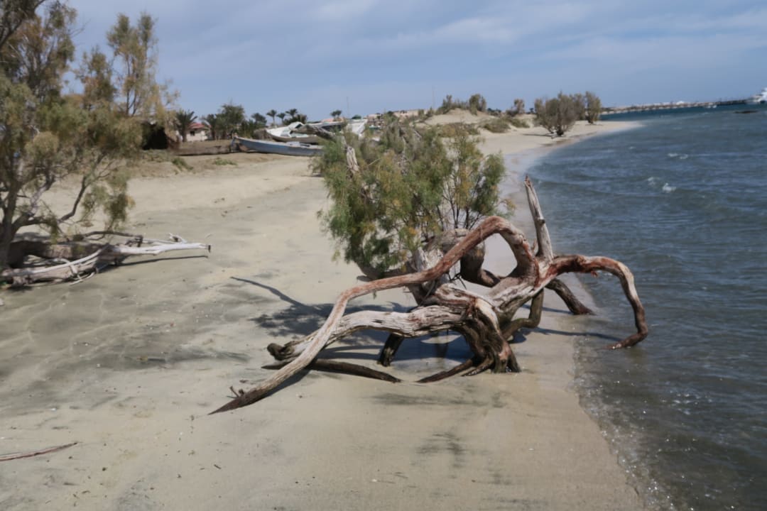 Sport & Freizeit Shams Alam Beach Resort