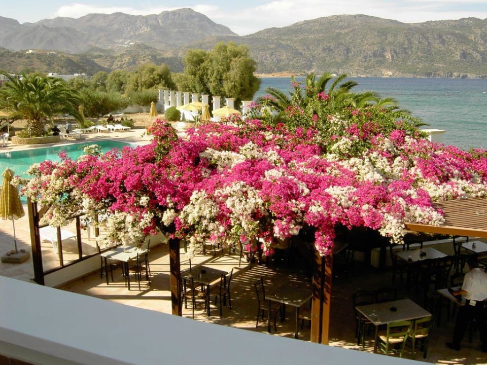 Taverne Hotel Elektra Beach