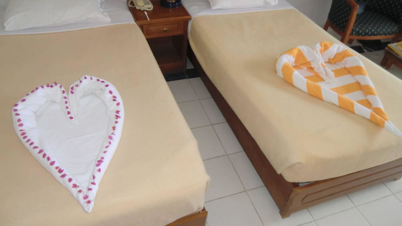 Bakschis winkt Desert Rose