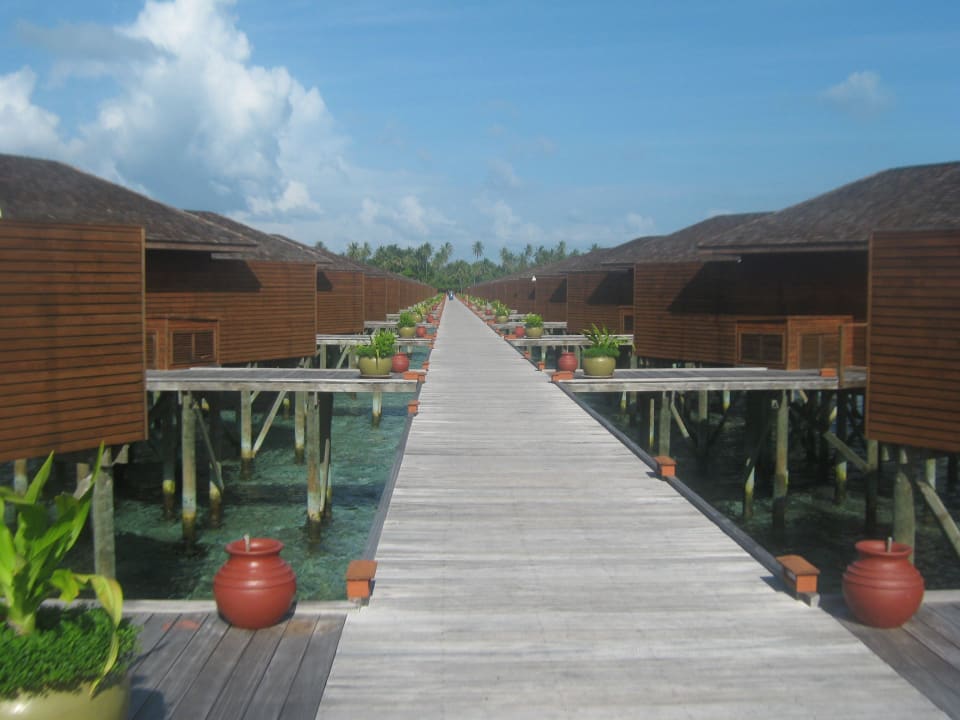 Am Ende des Stegs Meeru Maldives Resort Island