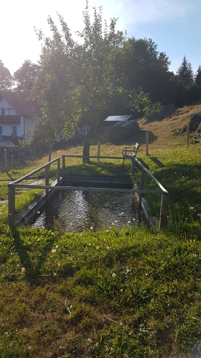 Sonstiges Pension Haus Sonnenfels