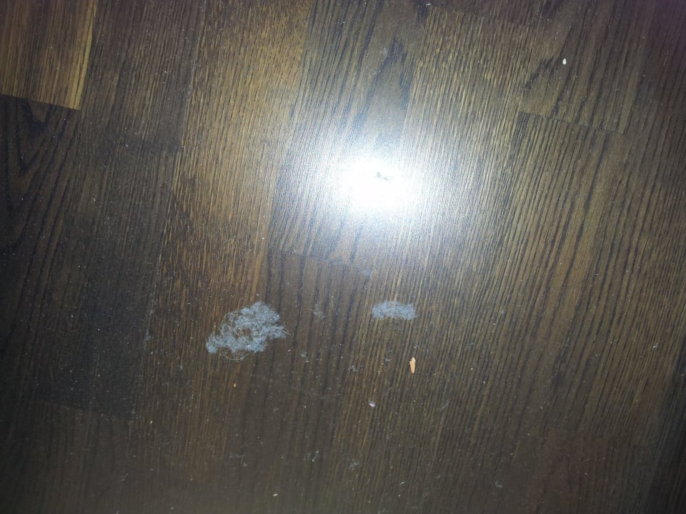 Unter den betten staub und haare wo man hinsieht City Hotel Roding