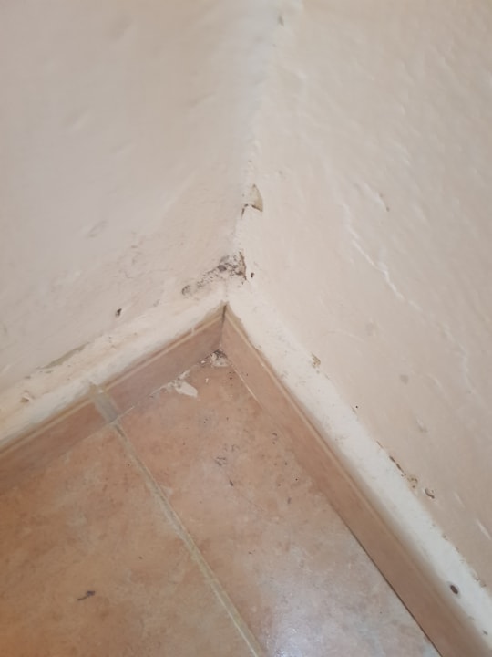 Zimmer Hotel Oasis Dunas