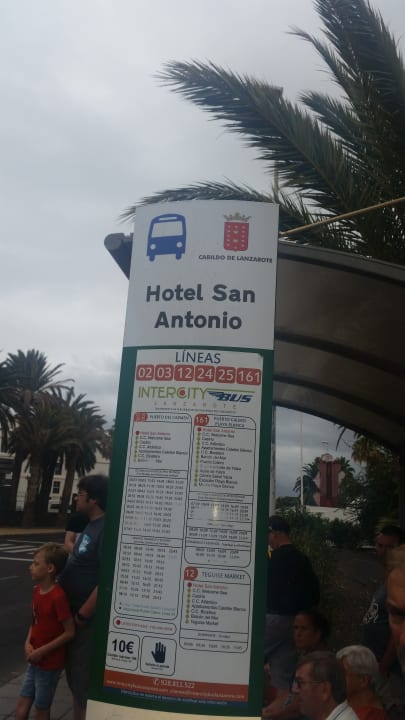 Sonstiges Relaxia Olivina