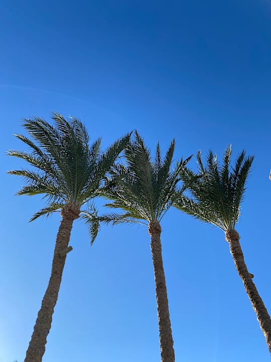 Sonstiges Makadi Spa - Adults only