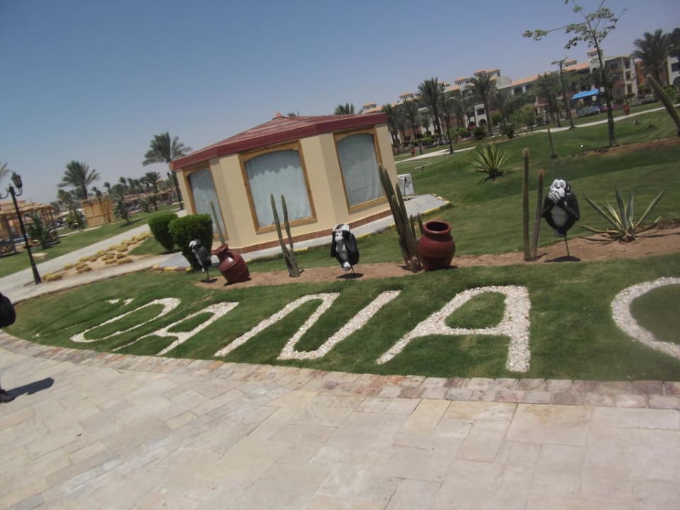 Sehr gepflegt Pickalbatros Dana Beach Resort - Hurghada