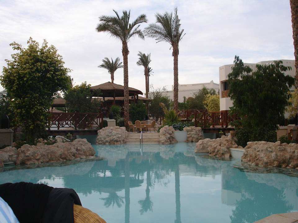 Pool Ghazala Gardens