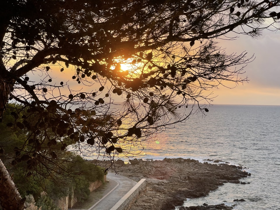 Ausblick Grupotel Aguait Resort & Spa - Adults only
