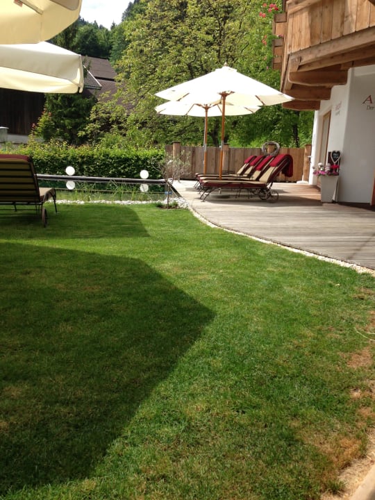 Naturpool Der Brandstetterhof