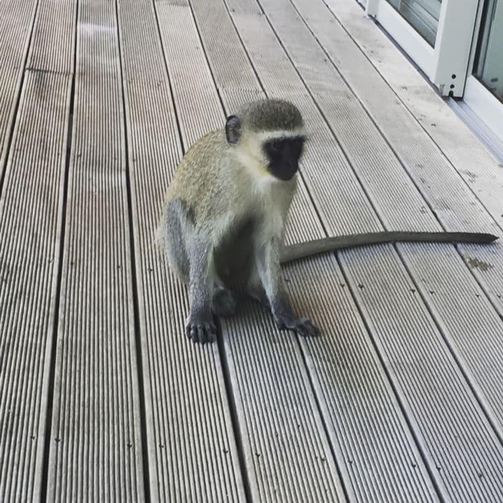 Sonstiges Kapama Karula