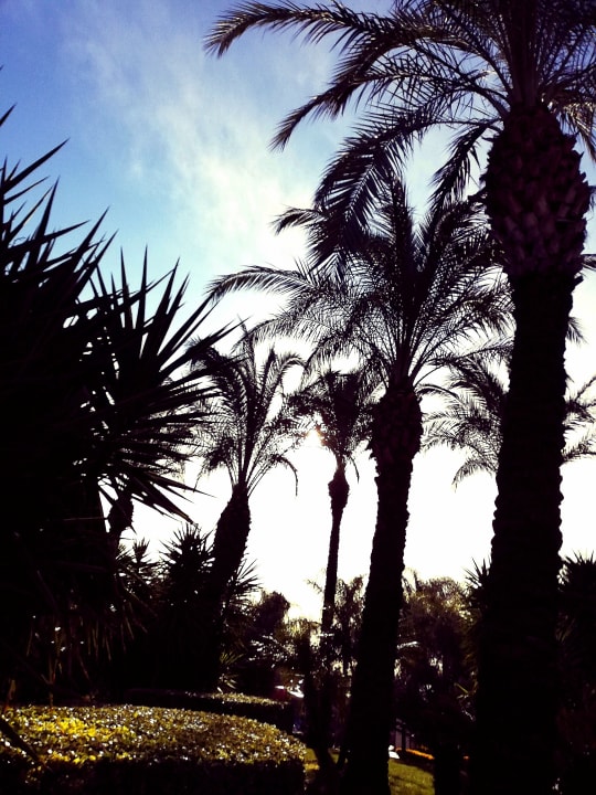 Auusblick Sunis Kumköy Beach Resort Hotel & Spa