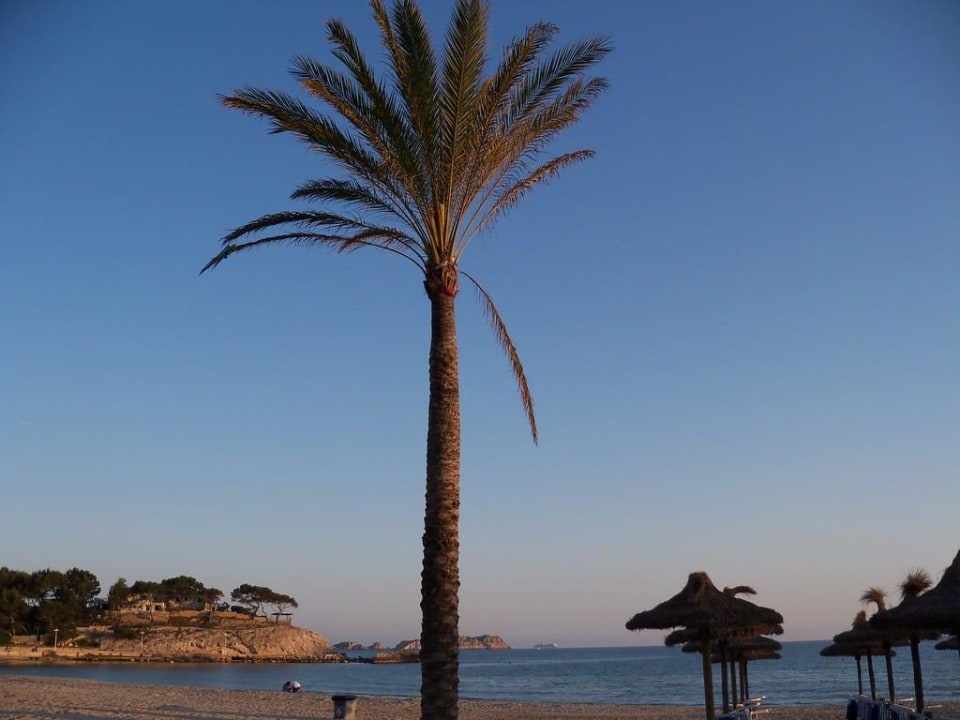 Strand von Peguera Hostal Villa Cati