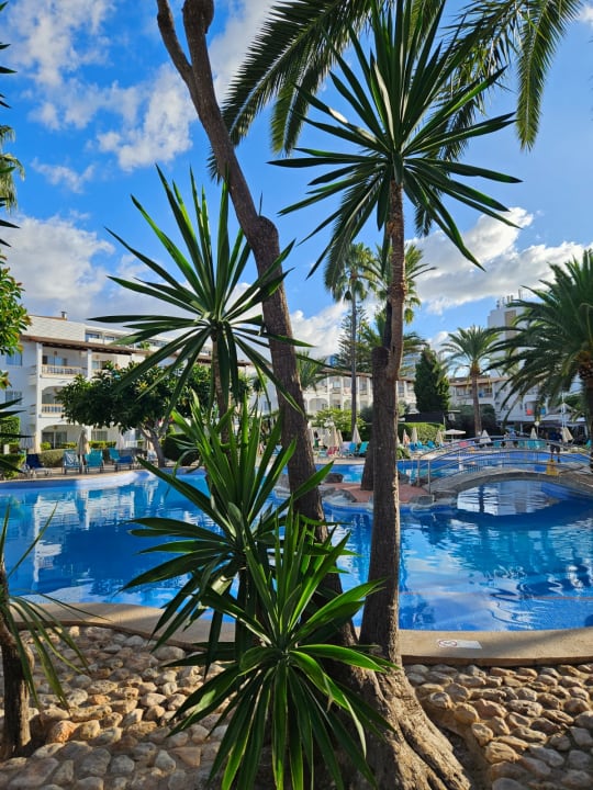 Pool Alcudia Garden Aparthotel