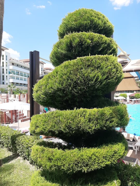 Gartenanlage Aydinbey Kings Palace & Spa