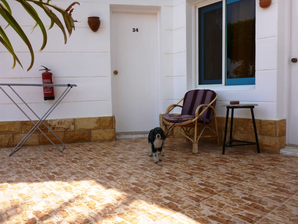 Zimmer Hotel Coral Garden