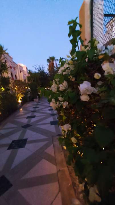 Strand The Grand Resort