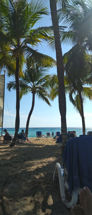 Strand Hotel Viva Dominicus Beach by Wyndham - All Inclusive Resort