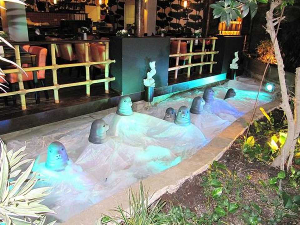 Seehunde im Restaurant Van der Valk Resort Linstow