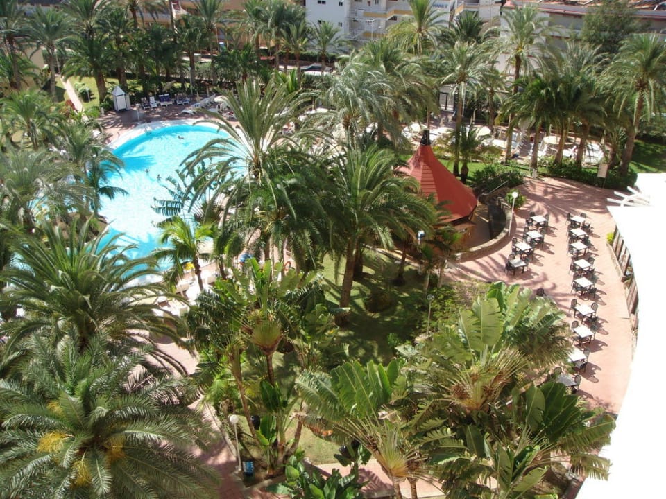 Pool mit Poolbar Hotel Riu Palace Palmeras
