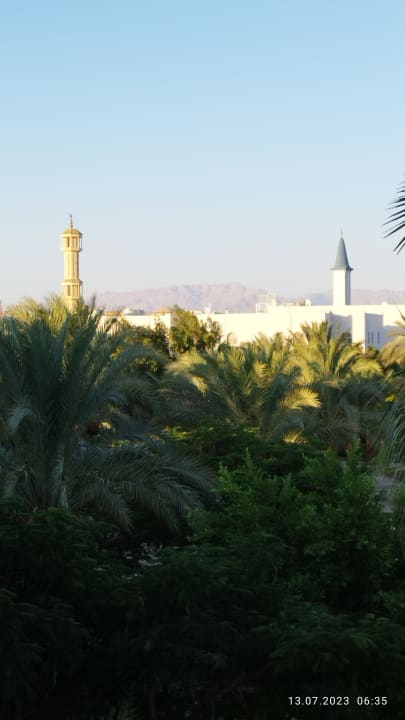 Ausblick Desert Rose