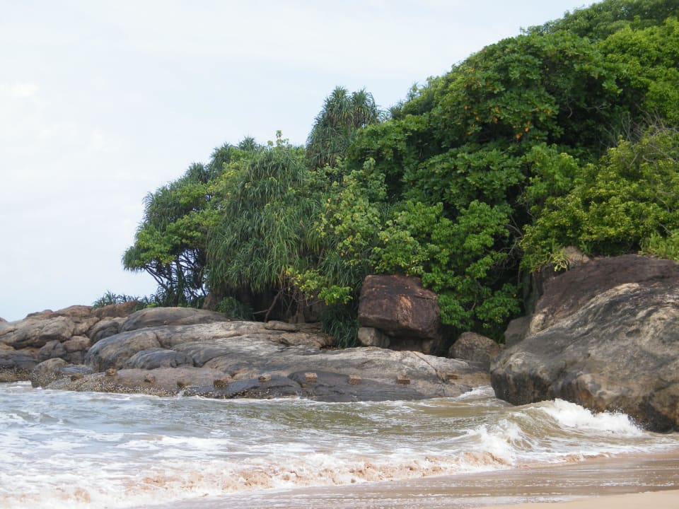 Strand Hotel Club Bentota
