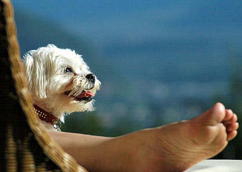 Hotel Residence Haselgrund Hotel Residence Haselgrund