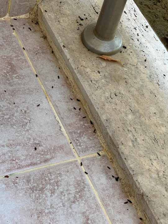 Zimmer Aqua Fantasy Aquapark Hotel & Spa