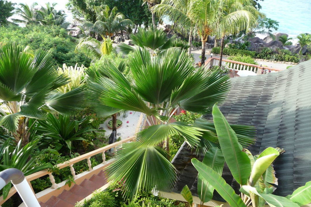 Toller Garten Hotel L'Ocean