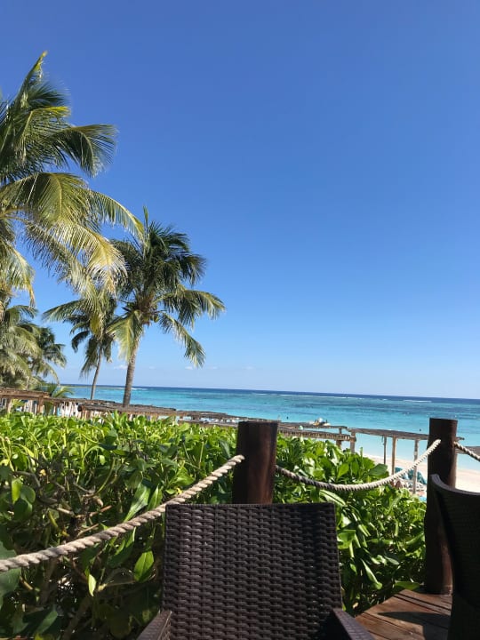 Gastro Akumal Bay Beach & Wellness Resort