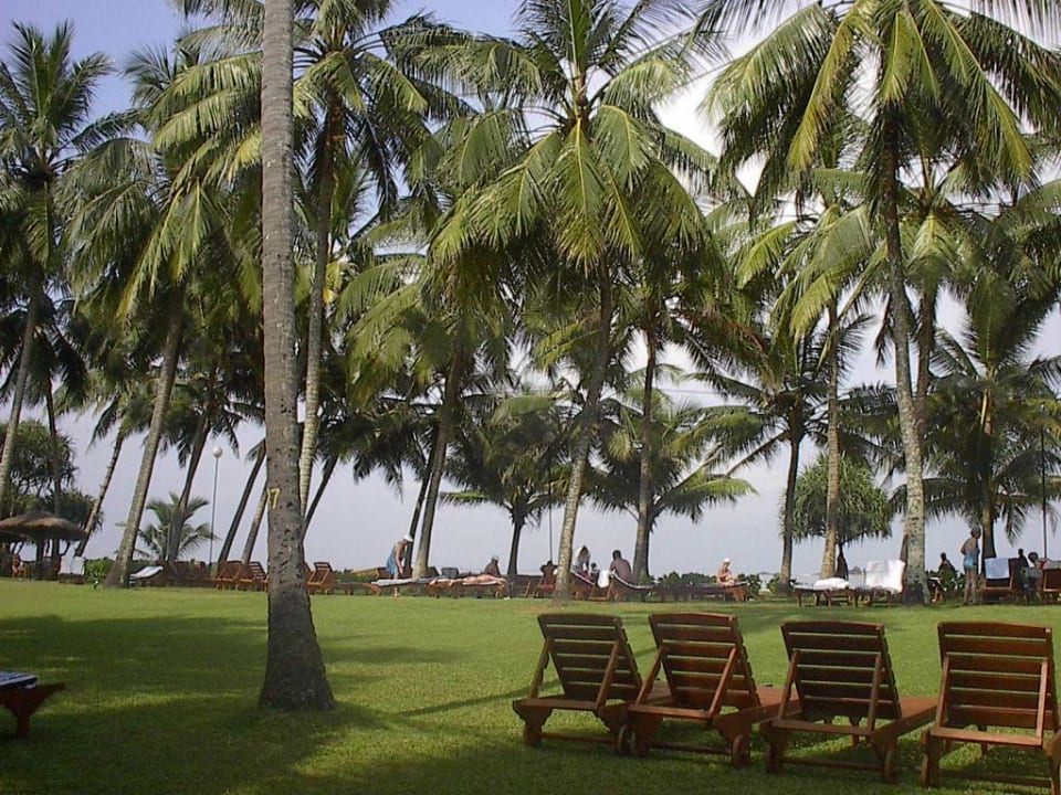 Im Palmenhain Thaala Bentota