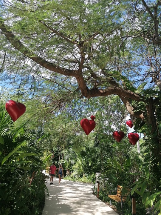 Gartenanlage Secrets Akumal Riviera Maya - Adults only