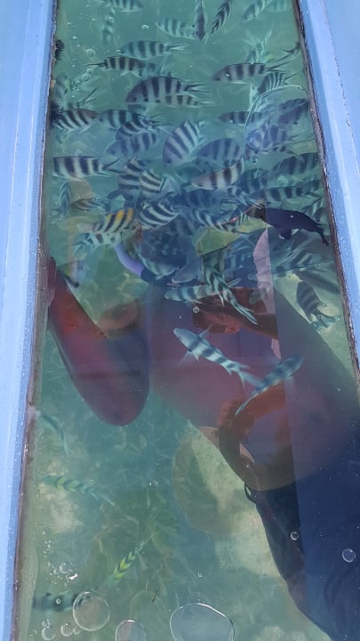 Sport & Freizeit Hotel Southern Palms Beach Resort